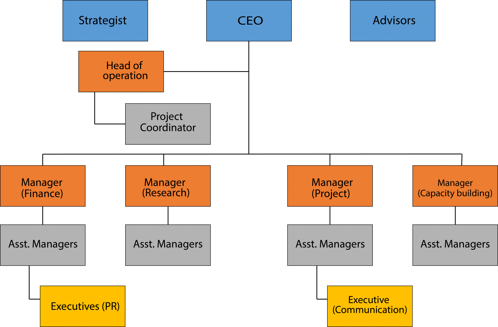 Our Team – Idea Tree